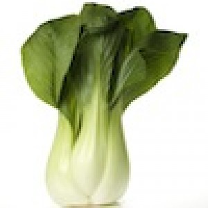 Bok Choy