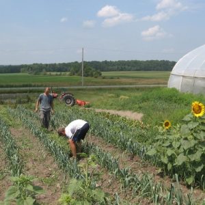 champs - Les jardins du lac
