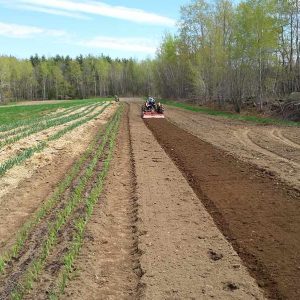 Champs 2014 - Les jardins du lac