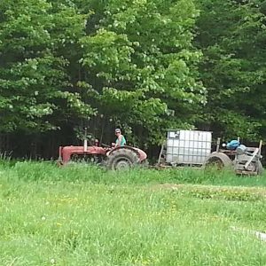 Au travail - Les jardins du lac