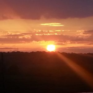 Coucher de soleil - Les jardins du lac