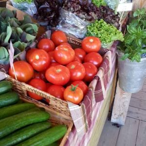 Marché locavore - Les jardins du lac