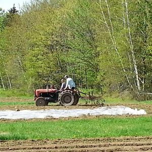 Au travail - Les jardins du lac