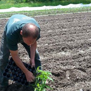 Travail - Les jardins du lac